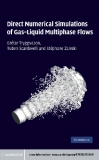 DIRECT NUMERICAL SIMULATIONS OF GAS–LIQUID MULTIPHASE FLOWS