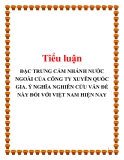 ĐẶC TRƯNG CẮM NHÁNH NƯỚC NGOÀI CỦA CÔNG TY XUYÊN QUỐC GIA. Ý NGHĨA NGHIÊN CỨU VẤN ĐỀ NÀY ĐỐI VỚI VIỆT NAM HIỆN NAY