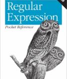 Regular Expression Pocket Reference, 2nd Edition 