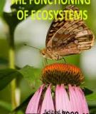 THE FUNCTIONING OF ECOSYSTEMS