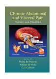 Chronic Abdominal and Visceral PainTheory and Practicee