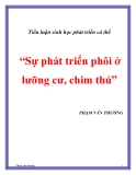 Tiểu luận “Sự phát triển phôi ở lưỡng cư, chim thú”