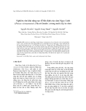 Báo cáo "  Nghiên cứu khả năng tạo rễ bất định của sâm Ngọc Linh (Panax vietnamensis, Ha et Grushv.) trong nuôi cấy in vitro "