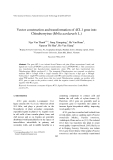 Báo cáo " Vector construction and transformation of 4CL1 gene into Chinaberrytree (Melia azedarach L.)"