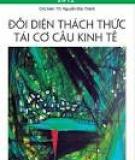 Sức ỳ tái cơ cấu