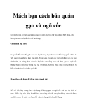 Mách bạn cách bảo quản gạo và ngũ cốc