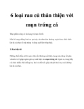 6 loại rau củ thân thiện với mụn trứng cá