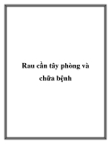 Rau cần tây phòng và chữa bệnh