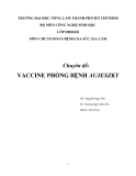 TIỂU LUẬN: VACCINE PHÒNG BỆNH AUJESZKY