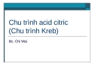 Chu trình acid citric