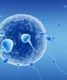   Effectiveness of Assisted Reproductive Technology    