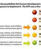 NTP-CERHR Monograph on the  Potential Human Reproductive and  Developmental Effects  of Di-Isodecyl Phthalate (DIDP)