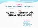 Đề tài  SỰ PHÁT TRIỂN PHÔI CỦA LƯỠNG CƯ (AMPHIBIA