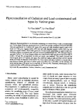 Báo cáo " Phytoremediation of Cadmium and Lead contaminated soil types by Vetiver grass "