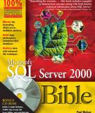 Microsoft SQL Server 2000 Bible