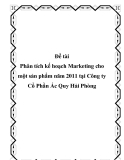 Luận văn:  Phân tích kế hoạch Marketing cho một sản phẩm năm 2011 tại Công ty Cổ Phần Ác Quy Hải Phòng