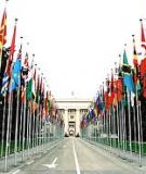UNdoing Reproductive Freedom Christian Right NGOs Target the United Nations