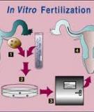 Reproductive Technologies