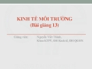 KINH TẾ MÔI TRƯỜNG (Bài giảng 13)