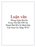 Luận văn: Phòng Ngừa Rủi Ro Trong Thu Hút FDI Tại Thành Phố Hồ Chí Minh Khi Việt Nam Gia Nhập WTO