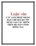 Luận văn: CÁC GIẢI PHÁP NHẰM HẠN CHẾ RỦI RO TÍN DỤNG TẠI CÁC NHTM TRÊN ĐỊA