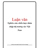  Luận văn: Nghiên cứu chiến lược thâm nhập thị trường vào Việt Nam