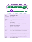 A dictionnary of slang in english