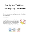 Gốc Tự Do - Thủ Phạm Trực Tiếp Gây Lão Hóa Da