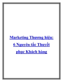 Marketing Thương hiệu: 6 Nguyên tắc Thuyết phục Khách hàng.Trong một nghiên cứu