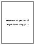 Hai mươi ba giờ cho kế hoạch Marketing (P.1)