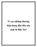 Vì sao những thương hiệu hàng đầu đều sản sinh từ Bắc Âu?