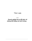 Đề tài: Doanh nghiệp làm gì đối phó với những biến động của môi trường