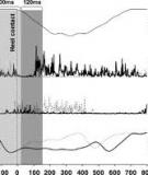 Gait  Pattern  Classification  of Healthy  Elderly  Men  Based  on  Biomechanical  Data 