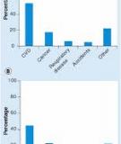 Trends in Causes of Death Among the Elderly