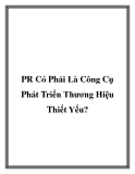 PR Có Phải Là Công Cụ Phát Triển Thương Hiệu Thiết Yếu?