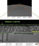 Optical Fiber Sensors to Detect Volatile Organic Compound in Sick Build- ing Syndrome Applications 