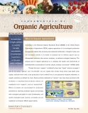 FUNDAMENTALS OF Organic Agriculture
