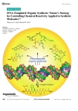 DNA-Templated Organic Synthesis: Natures Strategy for Controlling Chemical ReactivityApplied to Synthetic Molecules**