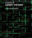 ADVANCES IN EXPERT SYSTEMS