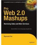 Pro Web 2.0 Mashups - Remixing Data and Web Services