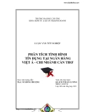 ĐỀ TÀI " Phân tích hoạt động tín dụng tại Ngân hàng Việt Á - chi nhánh Cần Thơ "