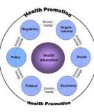 Health promotion and health education for adults 