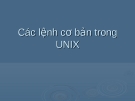 Các lệnh cơ bản trong UNIX