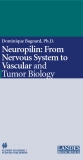 Neuropilin: From Nervous System to Vascular and Tumor Biology