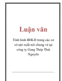 Luận văn: Tình hình BHLĐ trong các cơ sở sản xuất nói chung và tại công ty Gang Thép Thái Nguyên