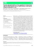 Báo cáo khoa học:Tyrosine phosphorylation of tau regulates its interactions with Fyn SH2 domains, but not SH3 domains, altering the cellular localization of tau