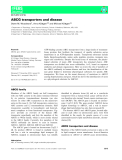 Báo cáo khoa học: ABCG transporters and disease