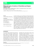 Báo cáo khoa học:  Molecular basis of toxicity of Clostridium perfringens epsilon toxin