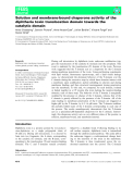 Báo cáo khoa học: Solution and membrane-bound chaperone activity of the diphtheria toxin translocation domain towards the catalytic domain"