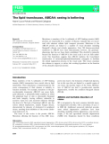 Báo cáo khoa học:  The lipid translocase, ABCA4: seeing is believing Naomi Laura Pollock and Richard Callaghan